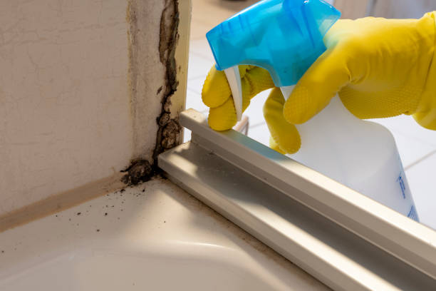 Best Mold Cleaning Services  in Cherry Brah, NC