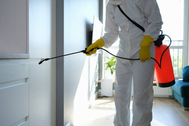 Best Attic Mold Removal  in Cherry Brah, NC