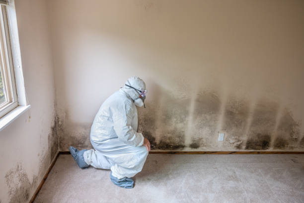 Best Crawl Space Mold Removal  in Cherry Brah, NC